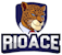 Rio Ace Casino logo