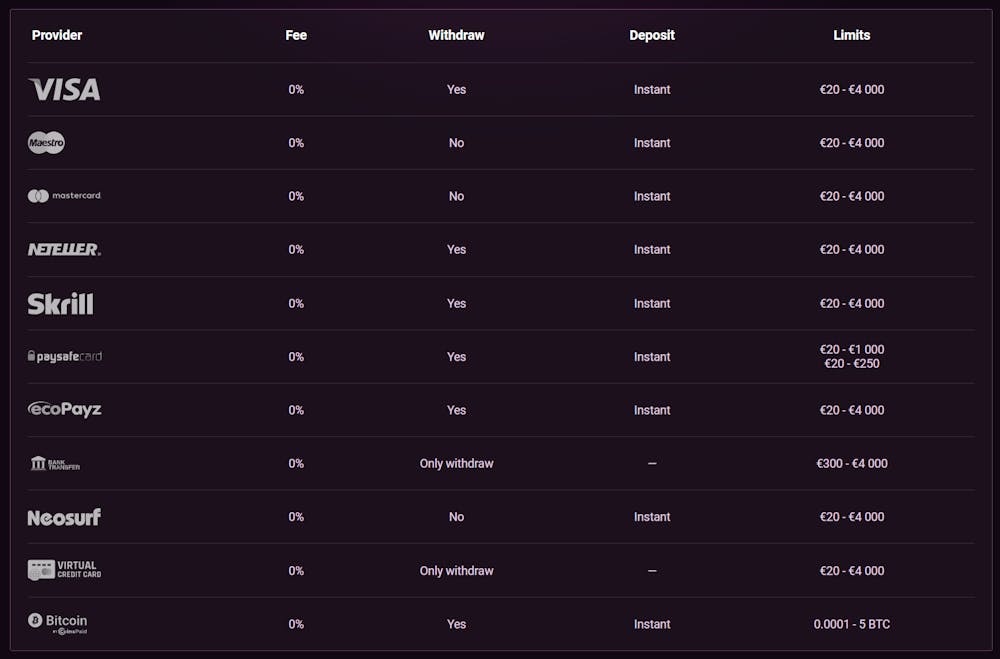 Ricky Casino payment options