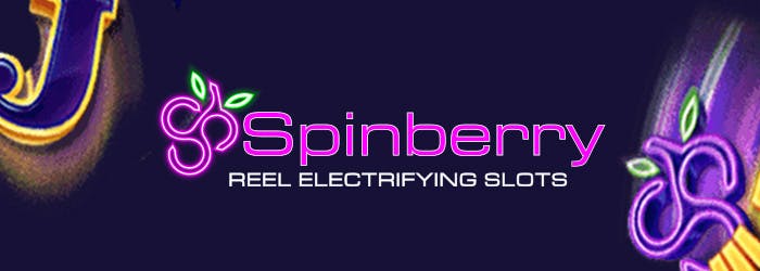 spinberry logo with purple writing on a blue background