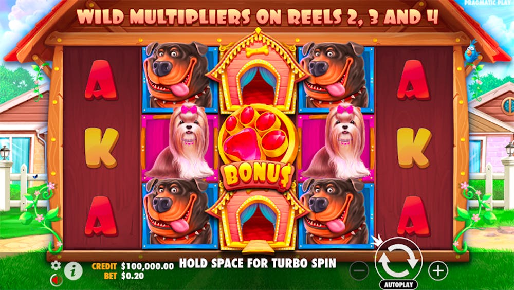 the dog house bonus buy feature