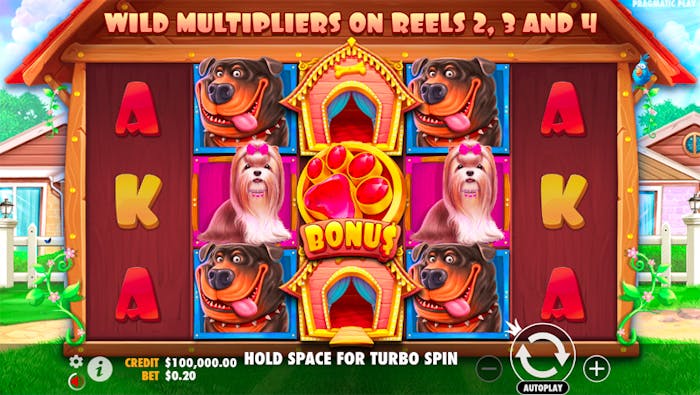 the dog house reels